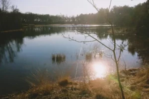 Uitzicht over een meer in de gemeente Midden Drenthe