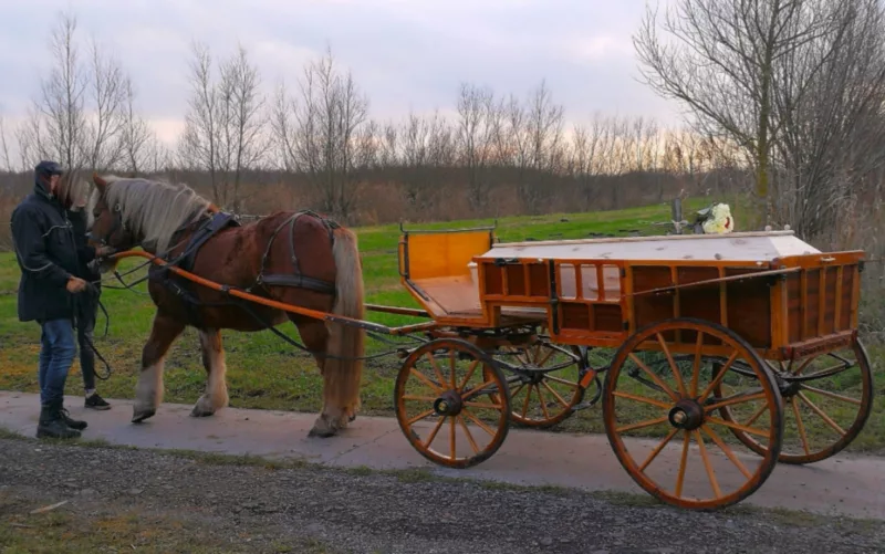 Paard met wagen. Op de wagen een grafkist. 
