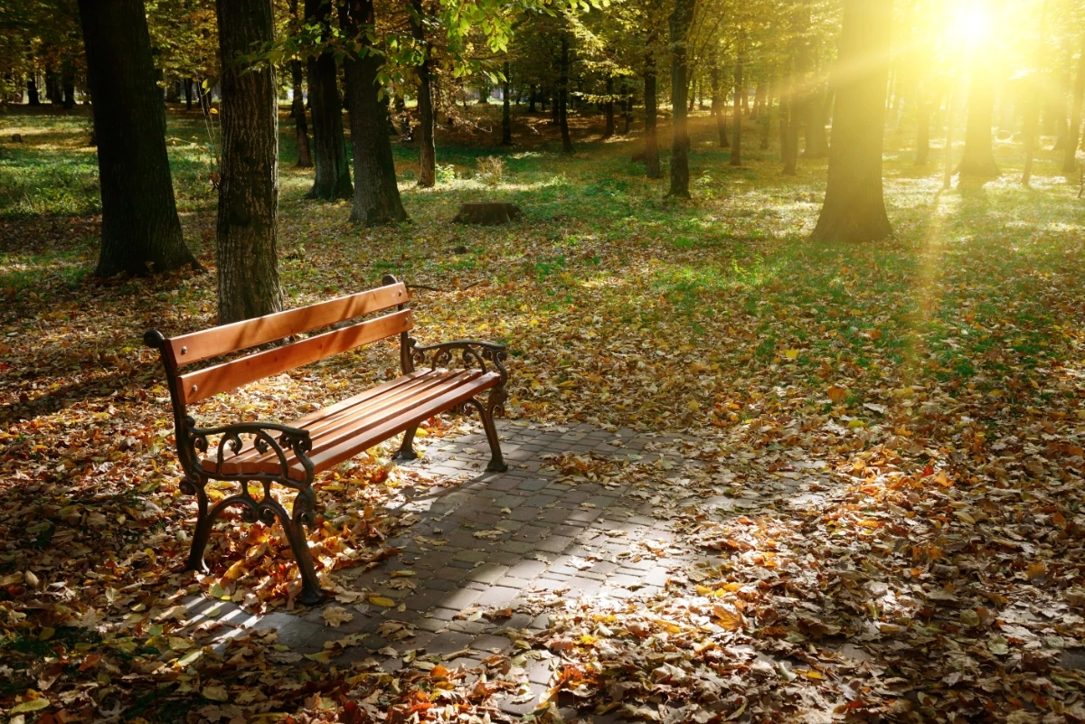 toekomst-van-begraven Een bankje in een park, misschien een uitstrooiveld voor as, een plek om te gedenken. Wellicht een voorbeeld van de toekomst van begraven.